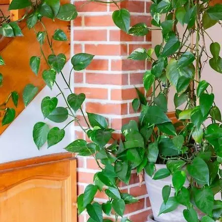 L'oustalet, Un Havre De Paix Villa