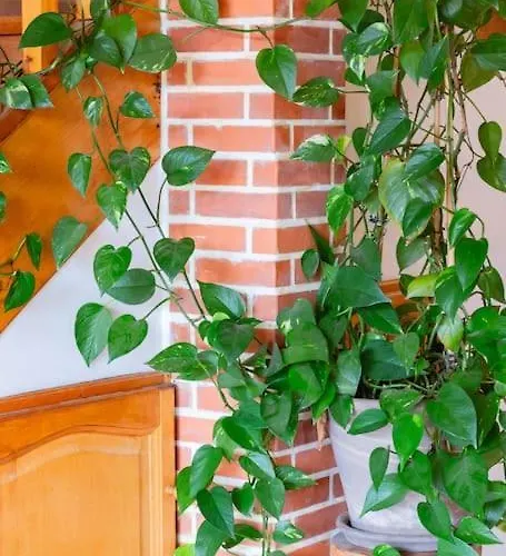 L'oustalet, Un Havre De Paix Villa